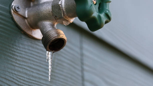 Best Water Softener Installation  in Demopolis, AL