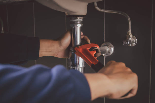 Best Same-Day Plumbing Service  in Demopolis, AL